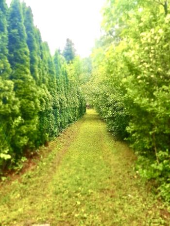 Ansicht von der Straße aus. Da ganz hinten verbirgt sich unser Knusperhäuschen 