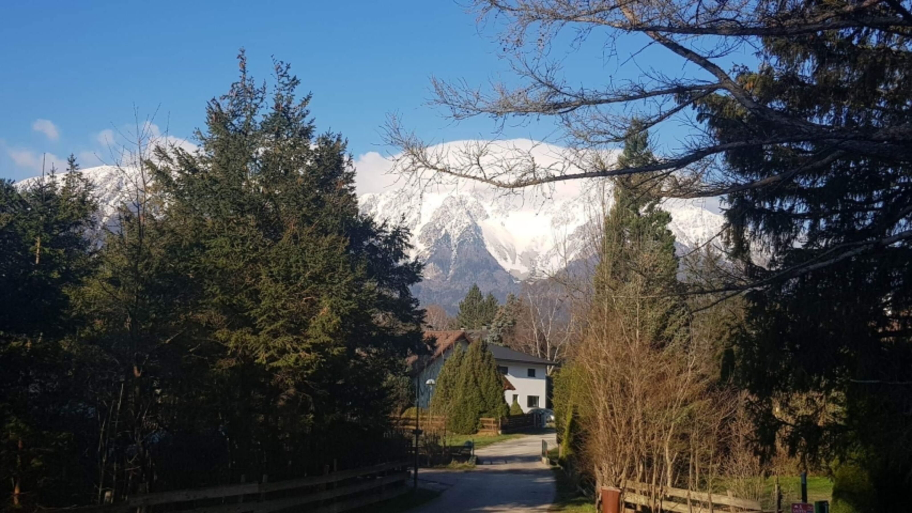 Der Schneeberg 