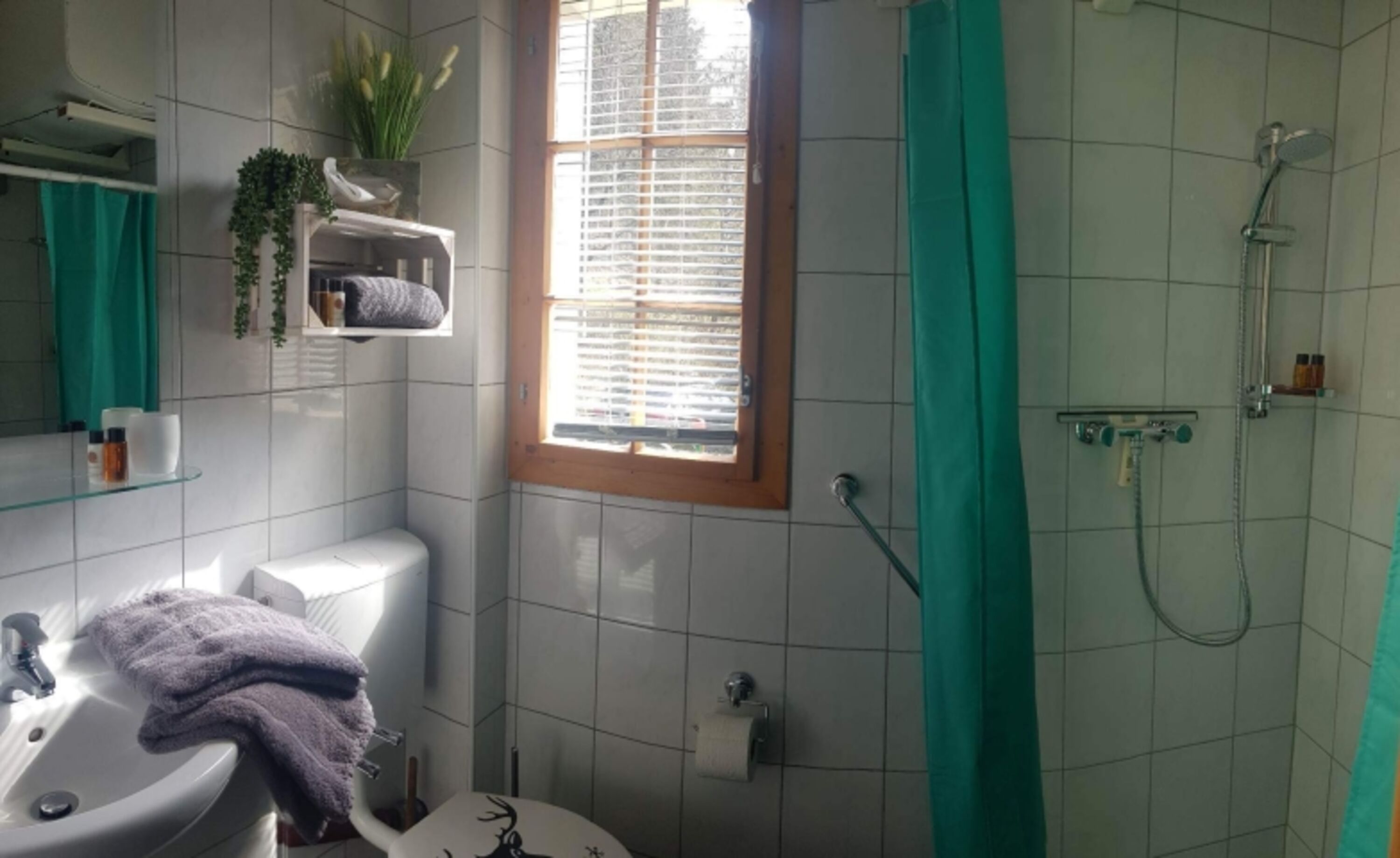 Bad mit Dusche