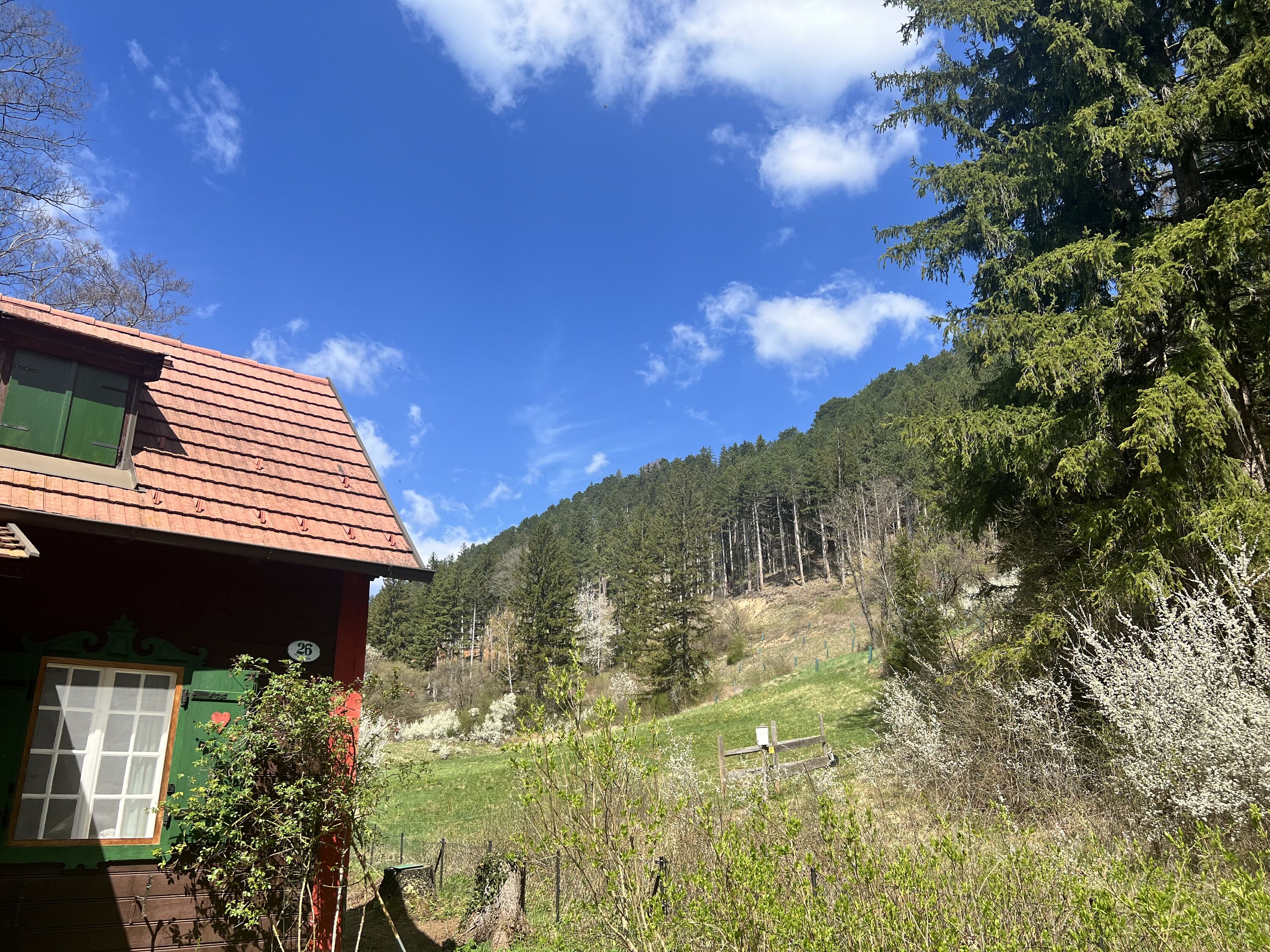 Natur pur