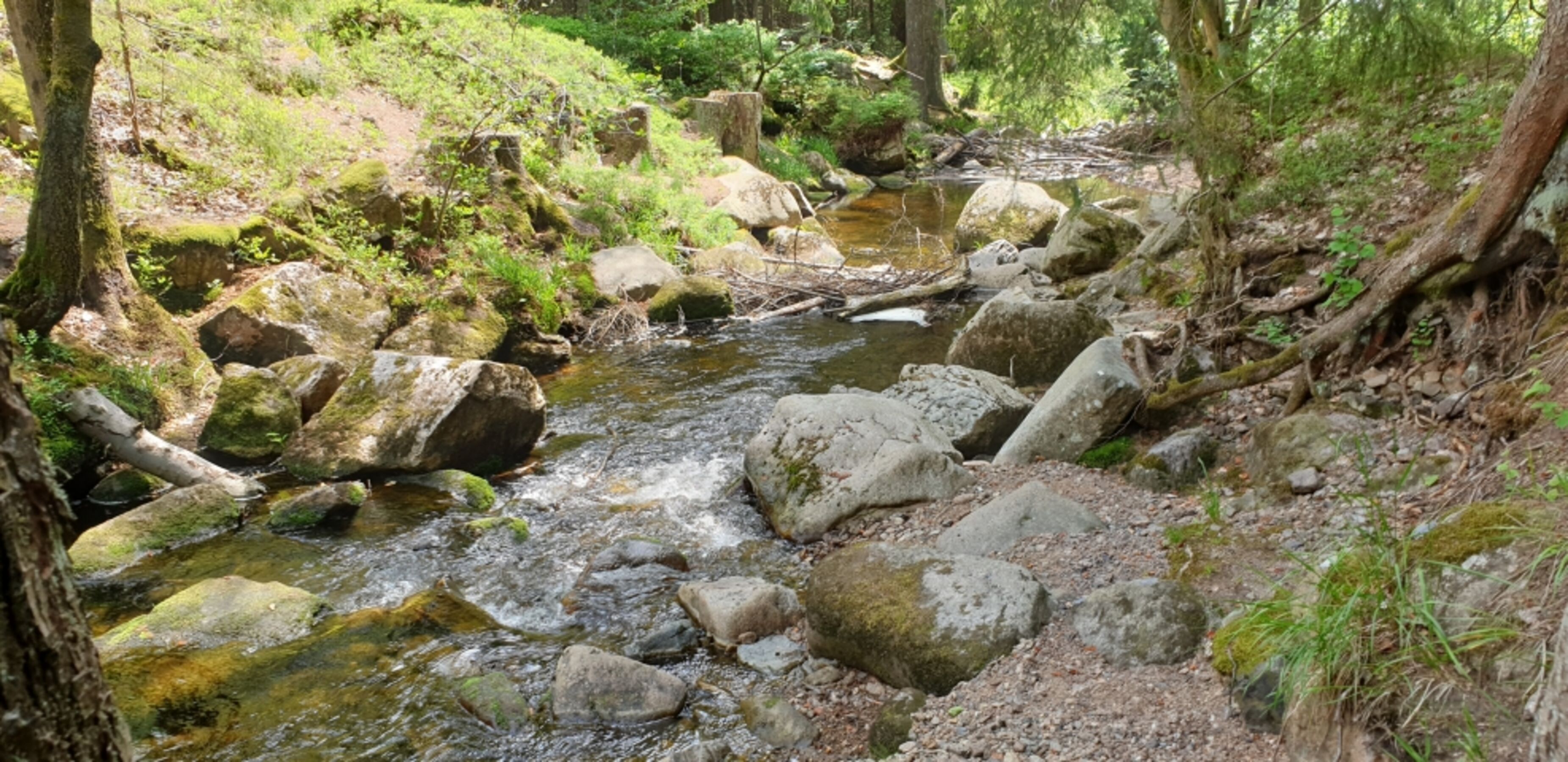 die Bode-wildromatisch