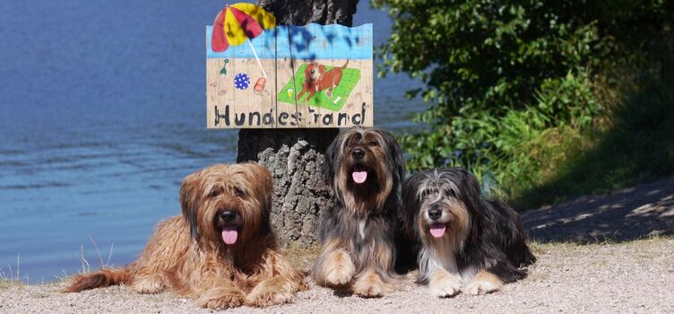 Hundestrand am Badeteich bei Teichmann 