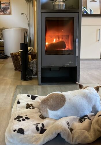 Gibt´s etwas schöneres?