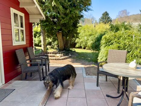 Terrasse im Schatten am Wintergarten 