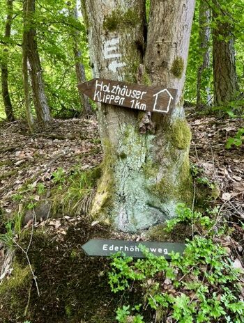 Nicht weit vom Ferienhaus - los geht´s