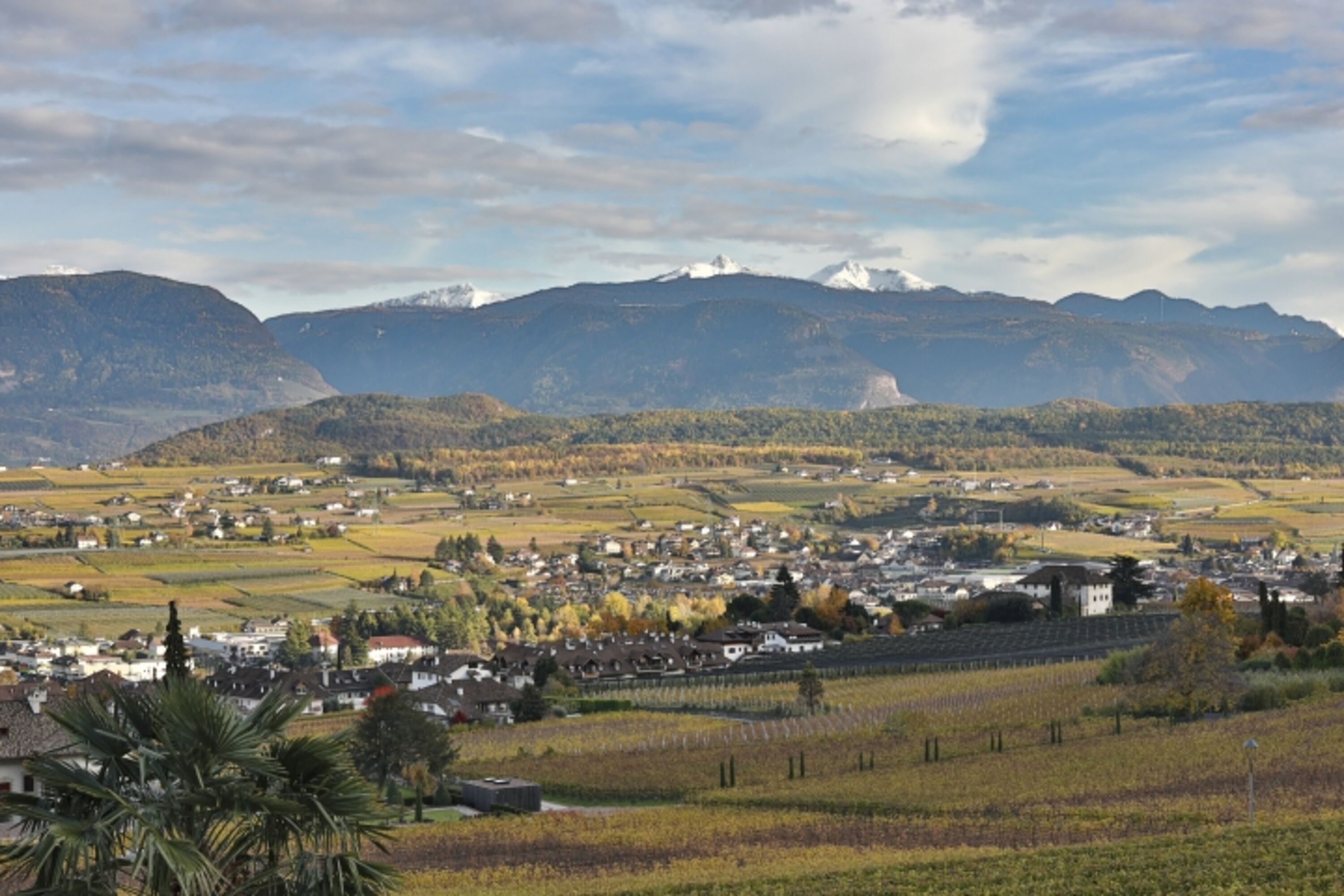 Bild 18