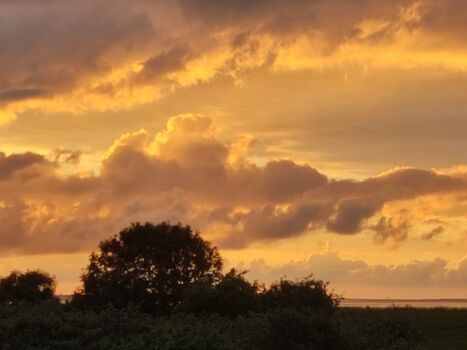 ...und immer in Bewegung