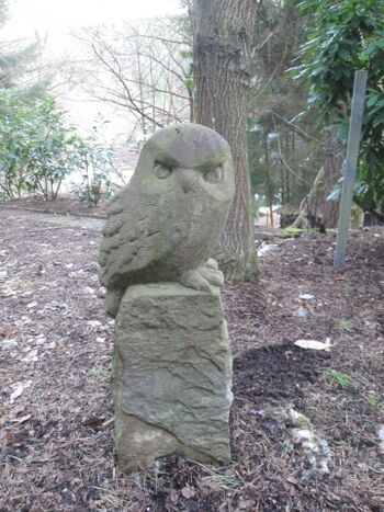 Wahrzeichen des Eulennestes