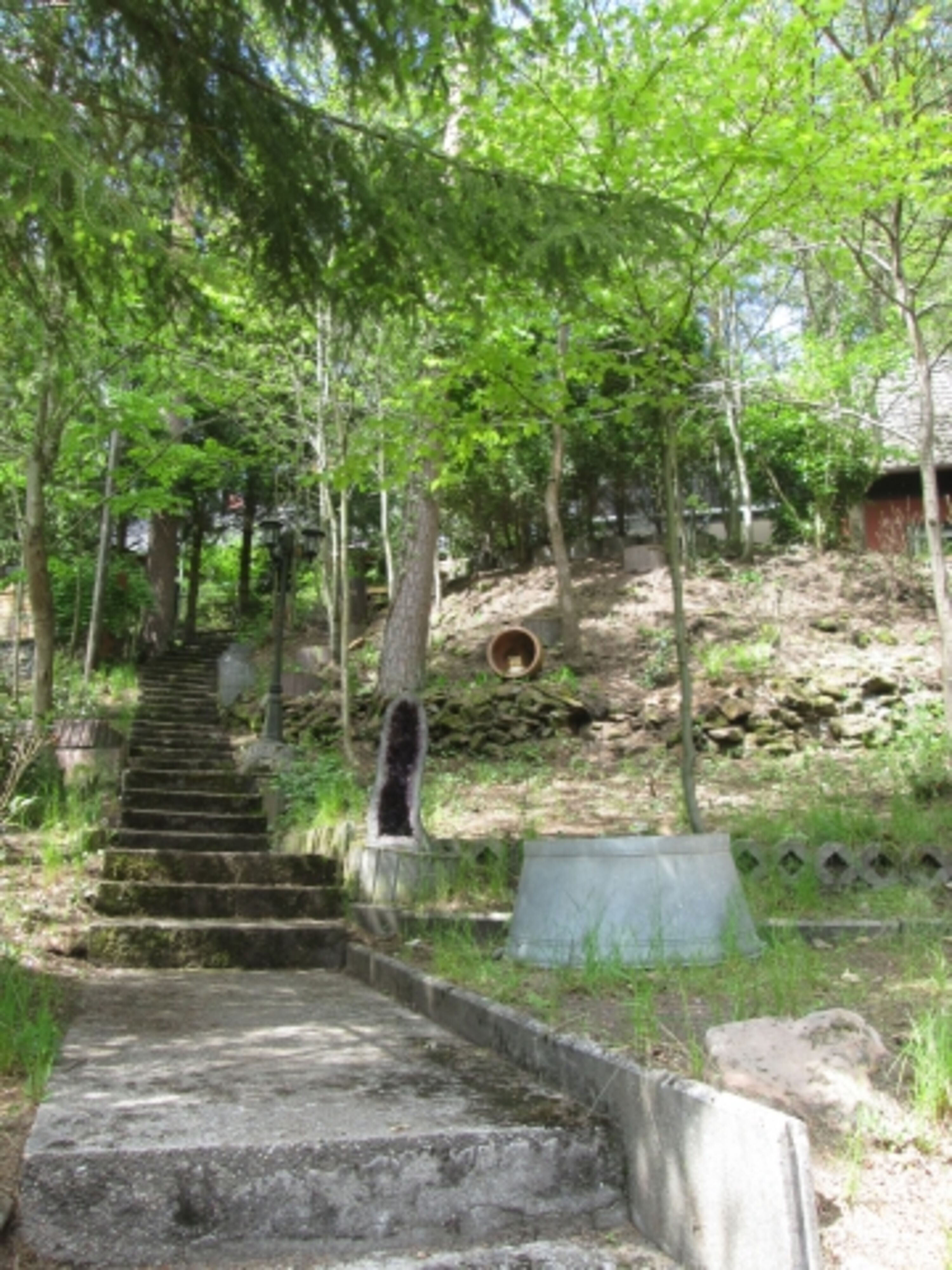 Bild 19