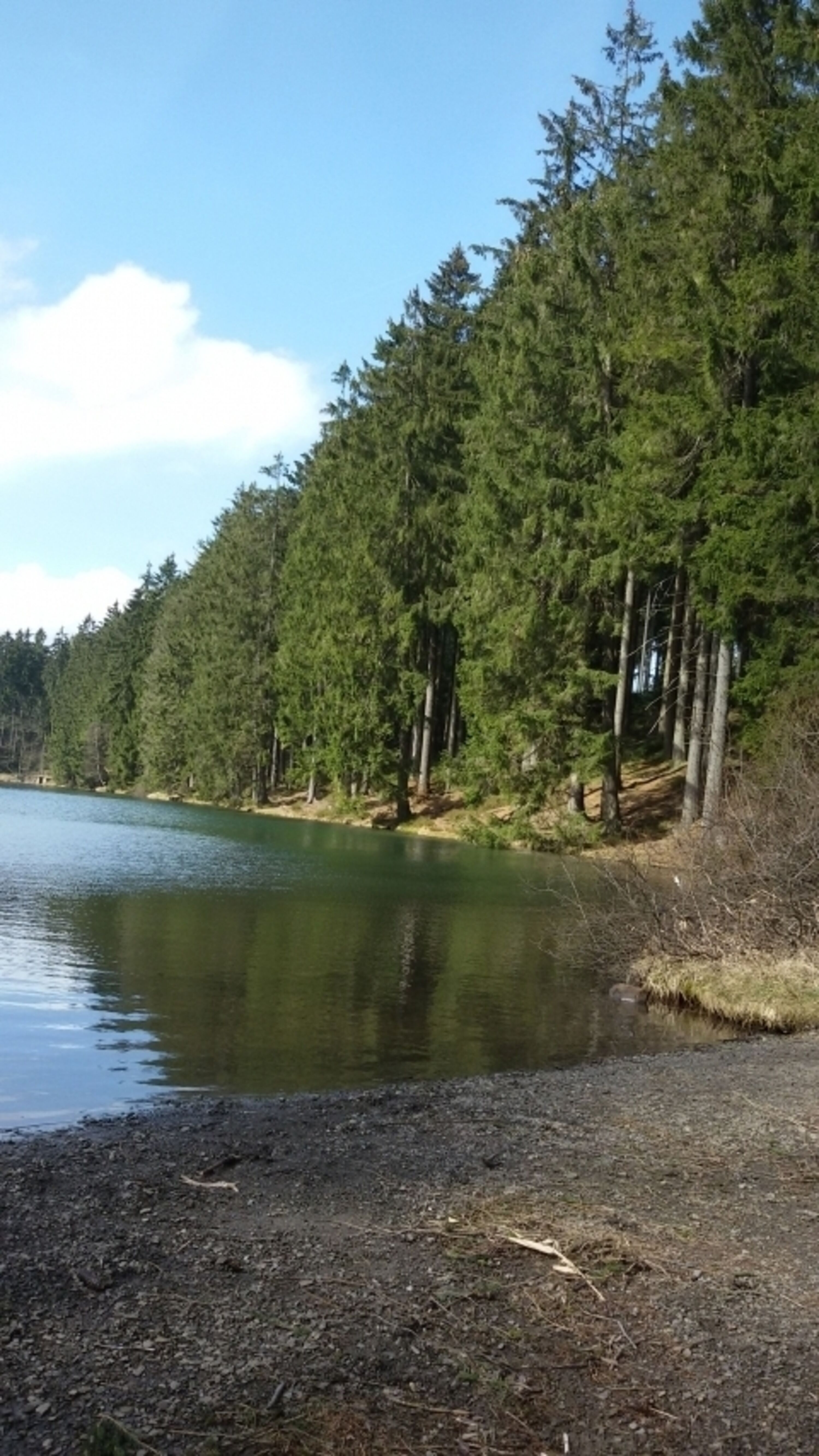 Bild 16