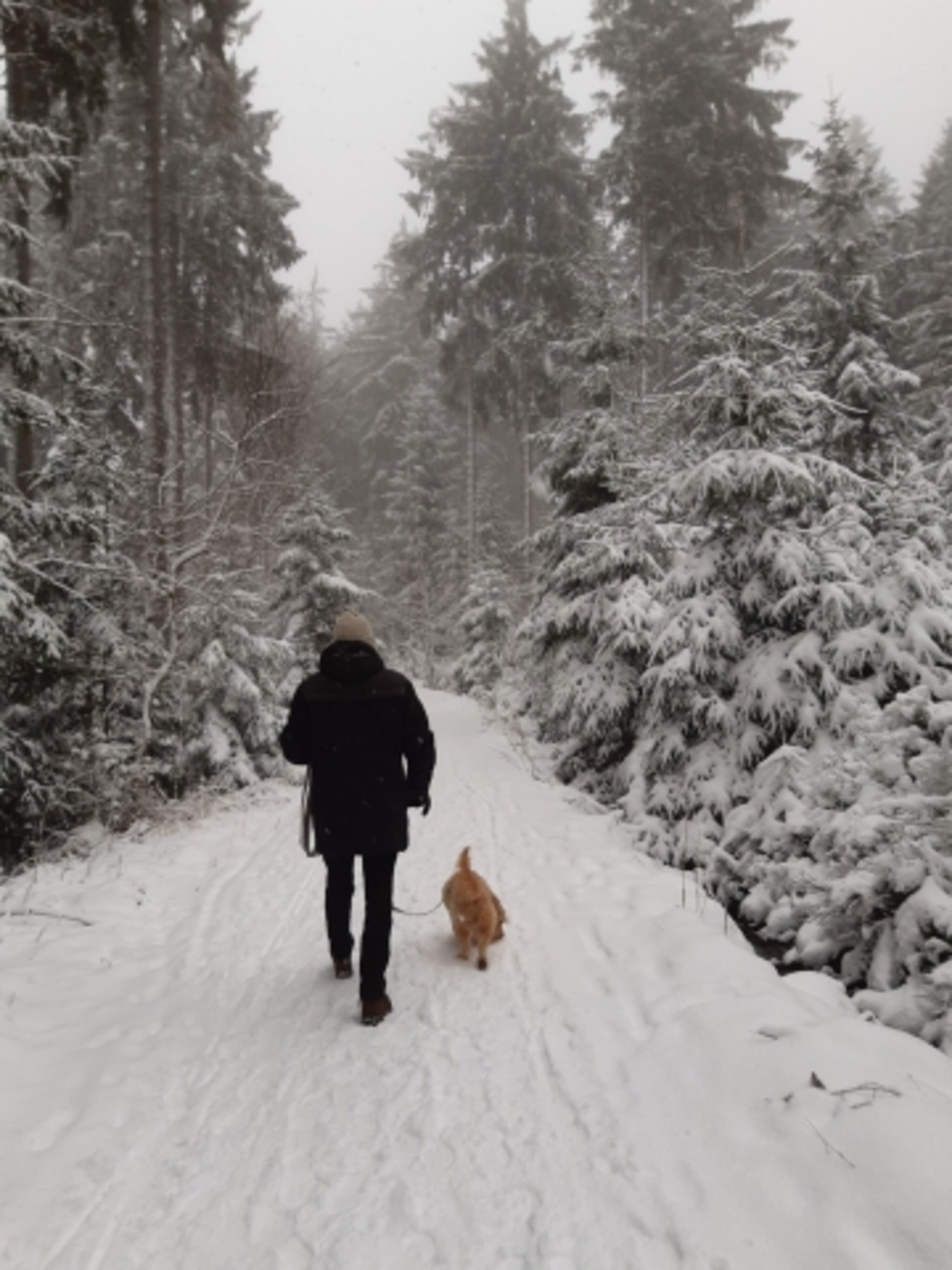 Wandern im Winter 