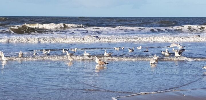 Naturpark Wattenmeer