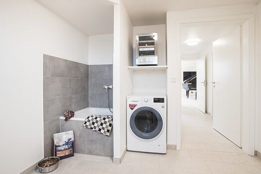 Hundedusche, Waschtrockner, Weinkühlschrank