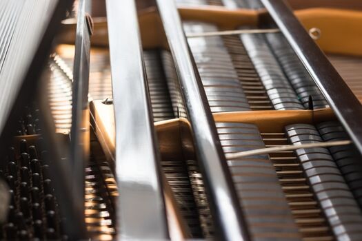 Flügel im Wohnzimmer