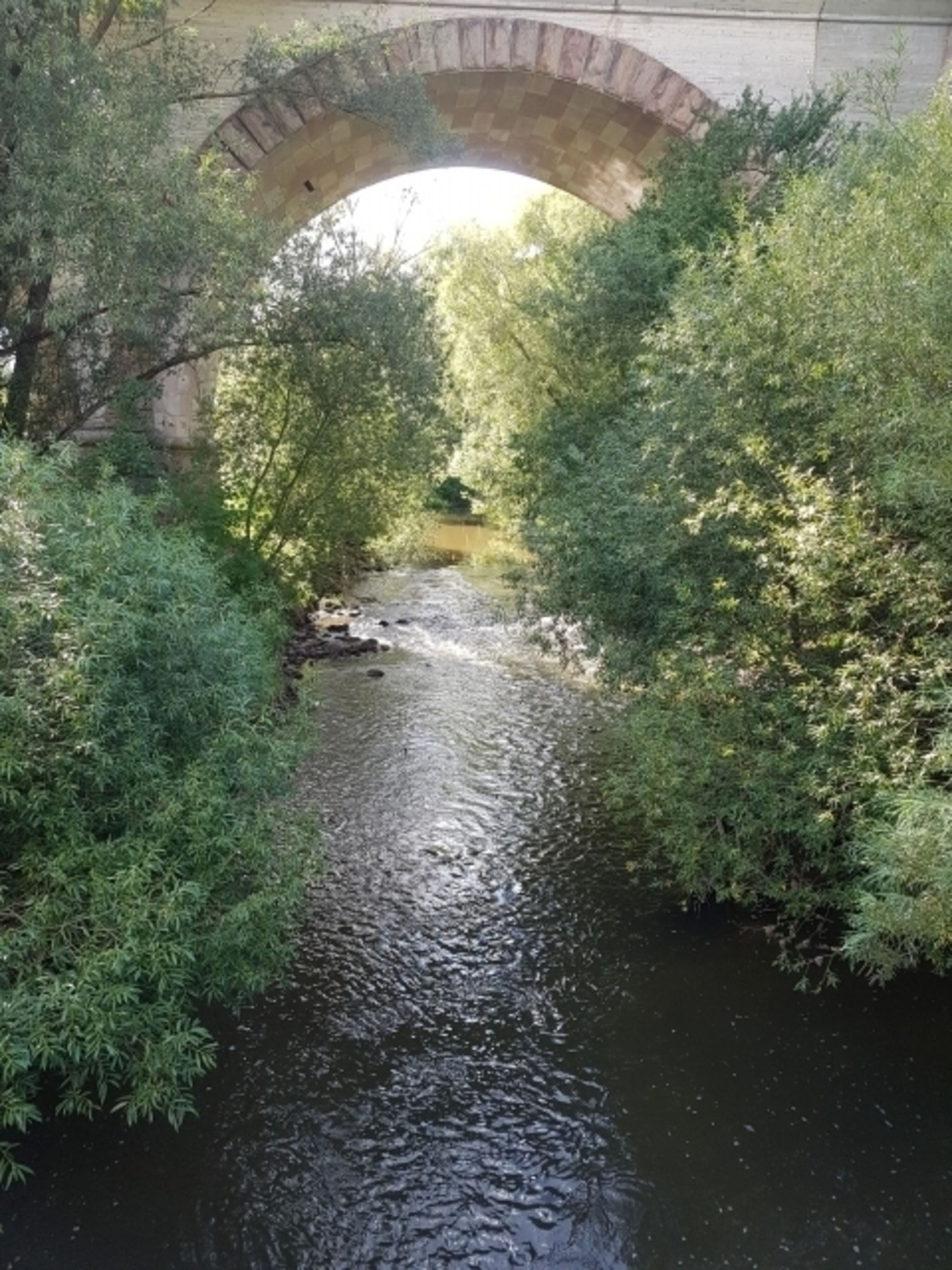 Bild 16