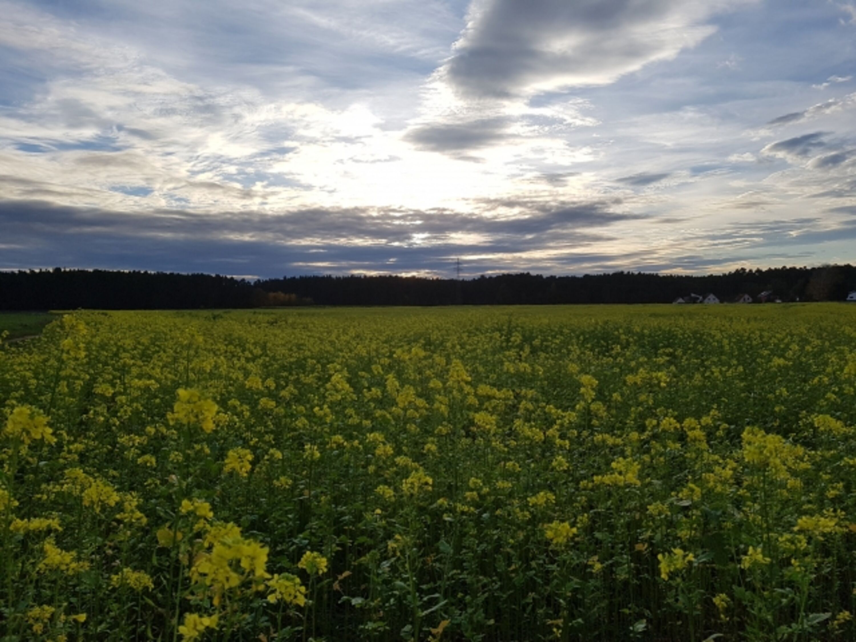 Bild 19