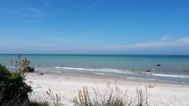 Feinsandiger Hundestrand 200 m 