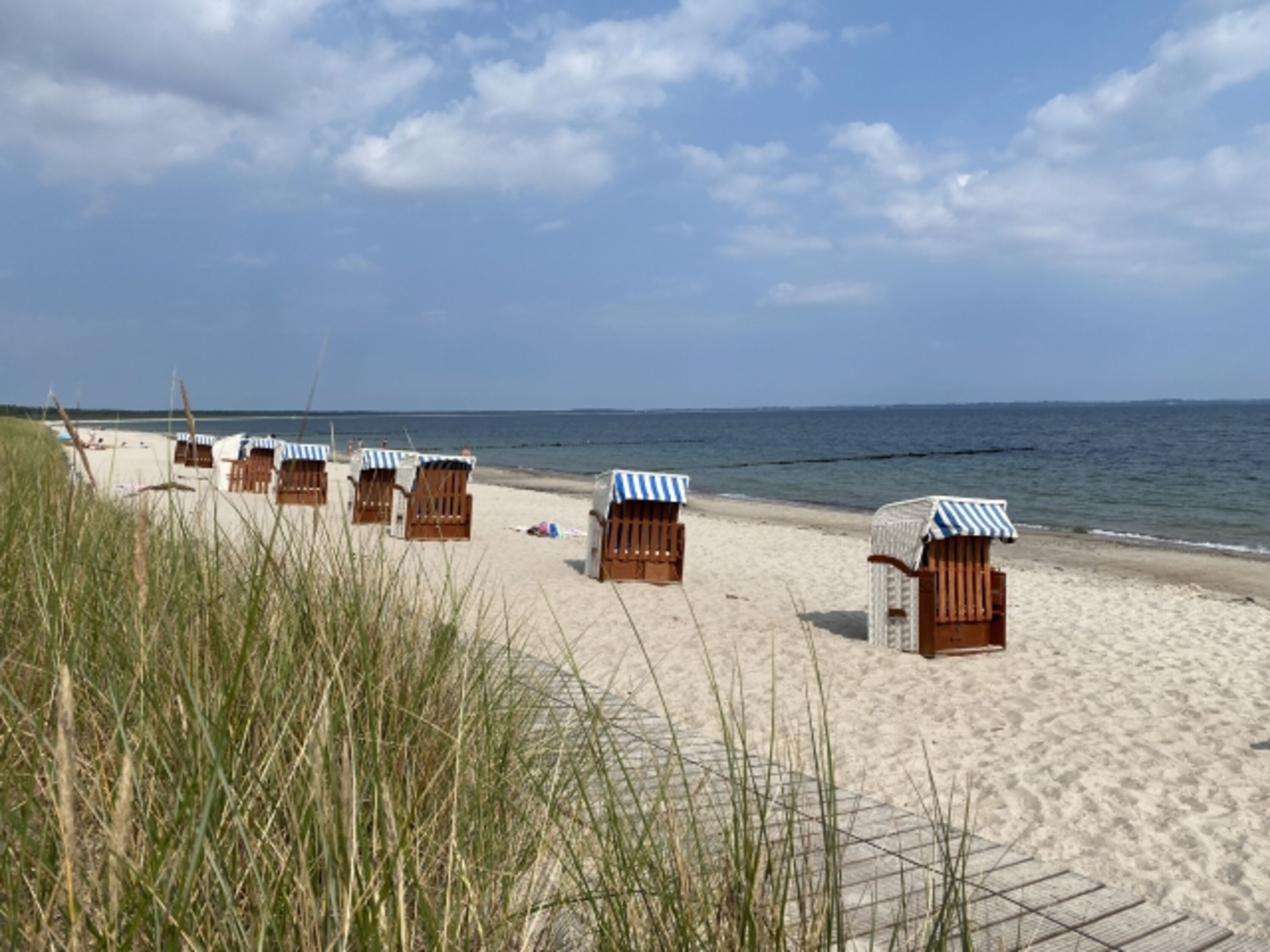 Strandkörbe am feinsandigen Hundestrand 