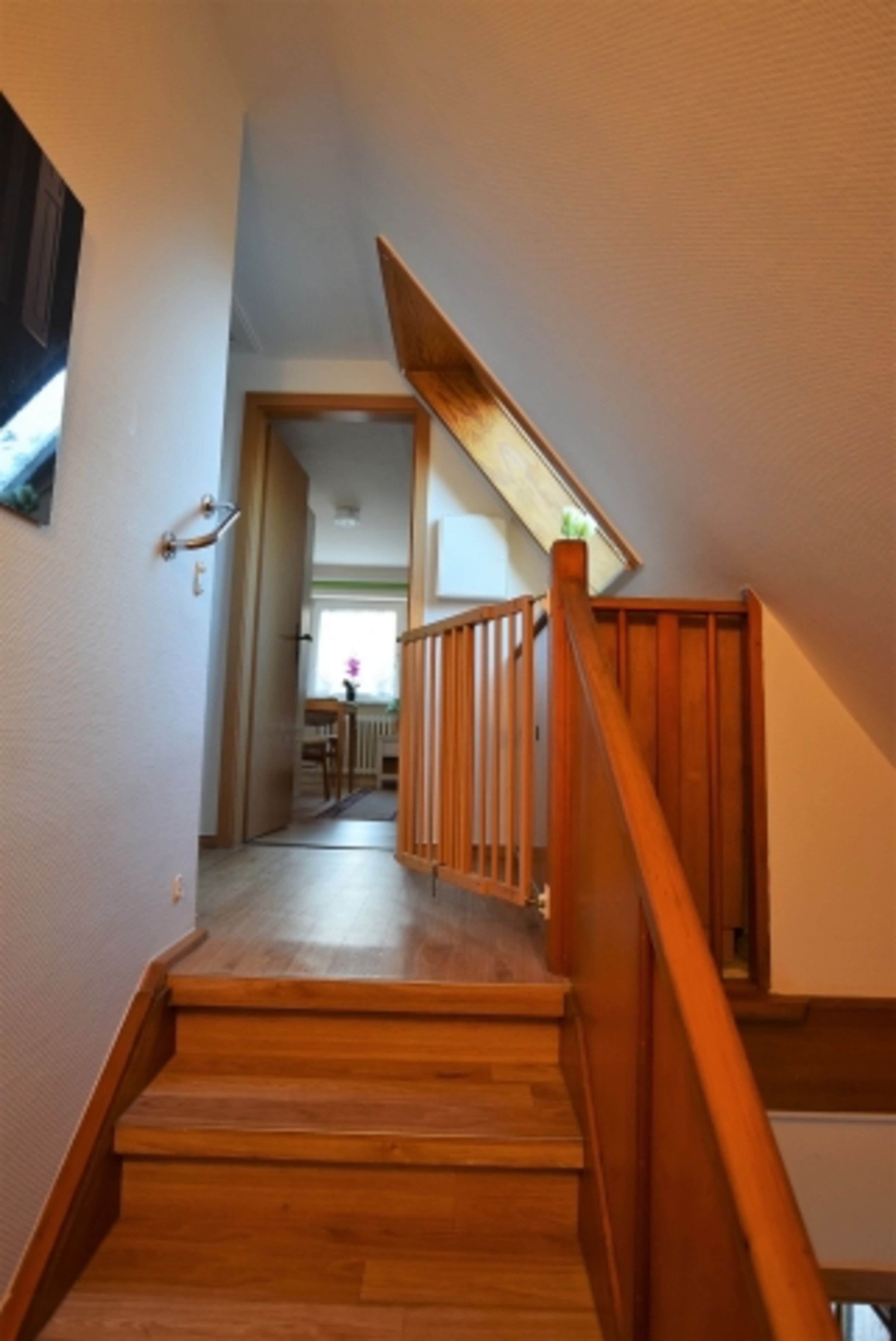 Bild 21
