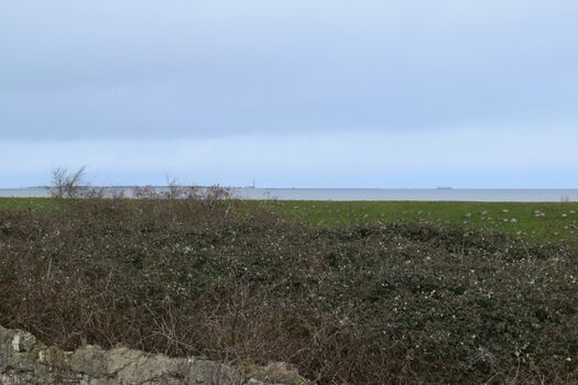 uneingeschränkter Meerblick von der Loggia