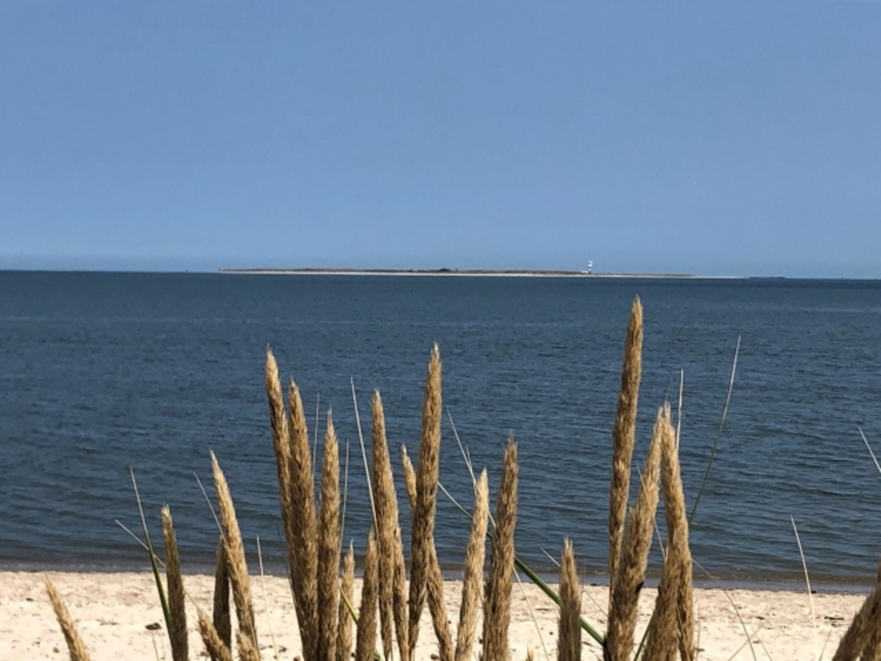 Weitblick