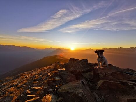 Sonnenaufgangswanderung