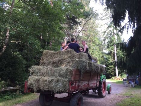 Heuernte, hier darf gerne mitgeholfen werden