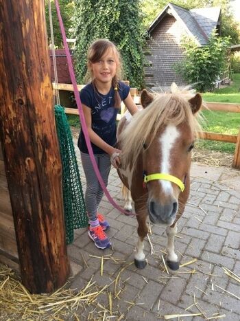 Alle lieben die Ponies