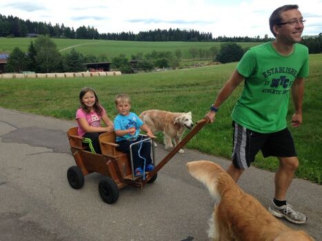 Hauseigener Bollerwagen