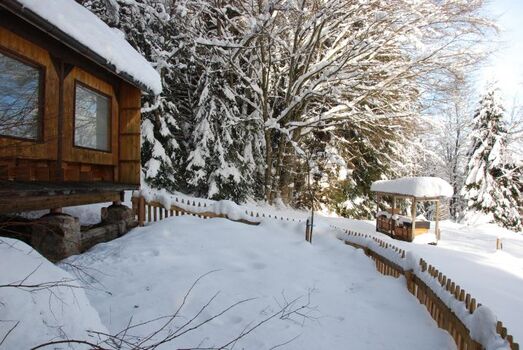 Unser Bienenhaus im Winter