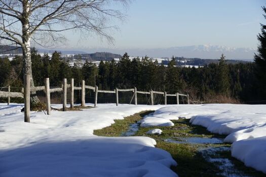 Ausblick von der Pferdeweide 