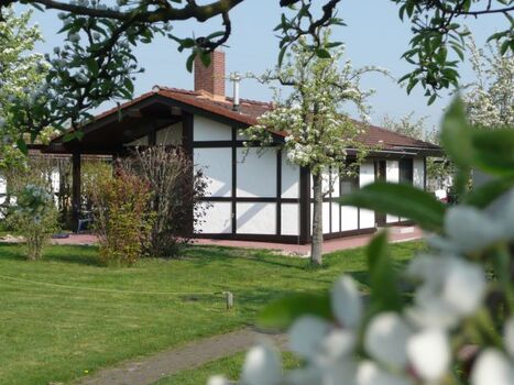 Ferienhausbeispiel Robinson