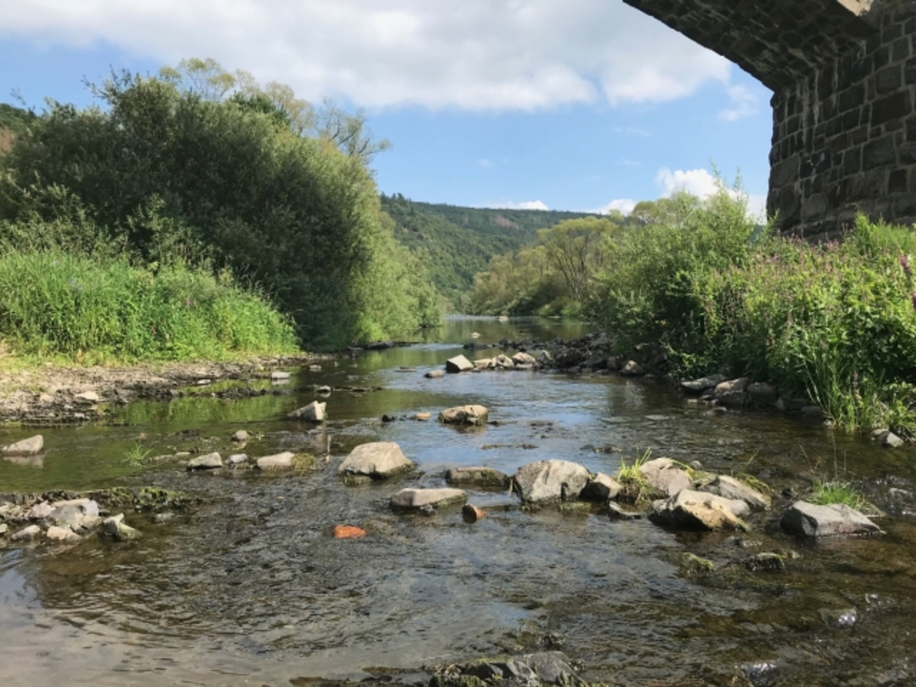 An der Eder