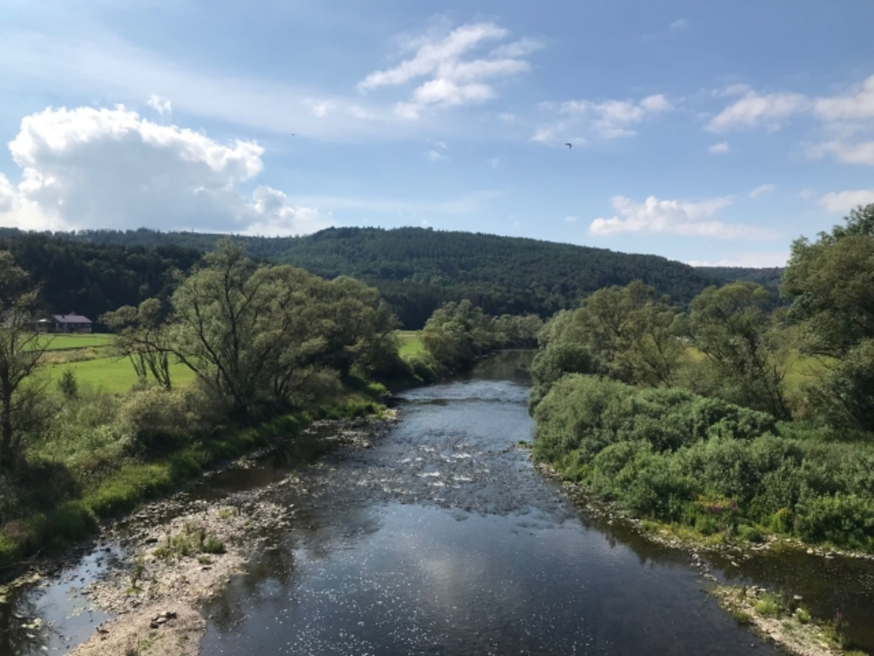 An der Eder