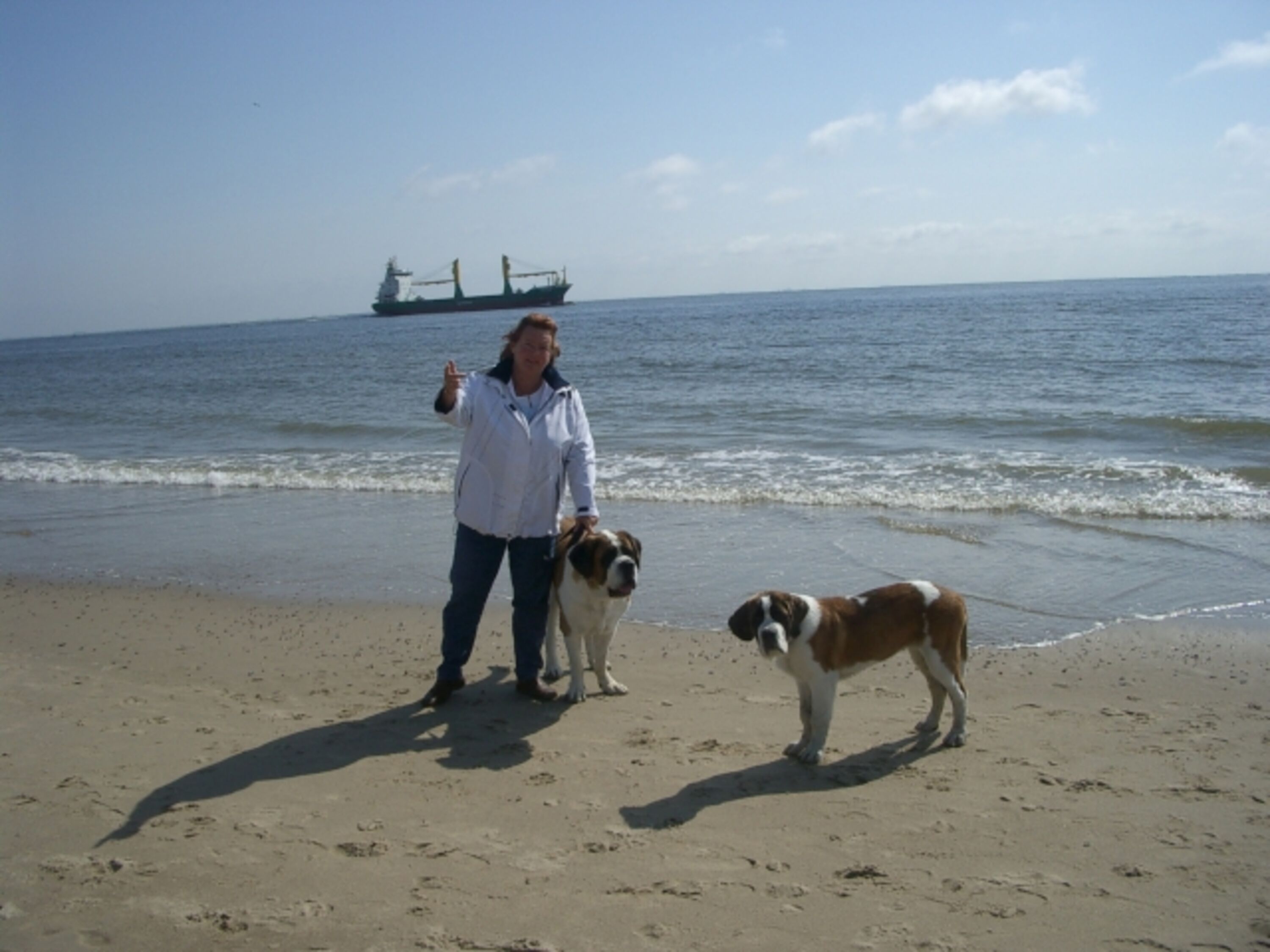 Bild 17