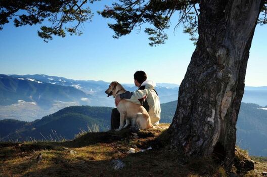 Ausblick auf die Bayerischen Berge