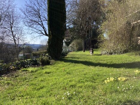 Garten (komplett umzäunt)