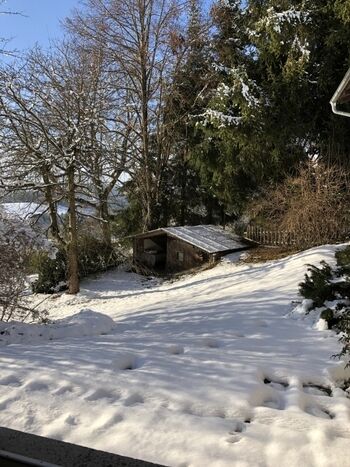 Garten im Winter