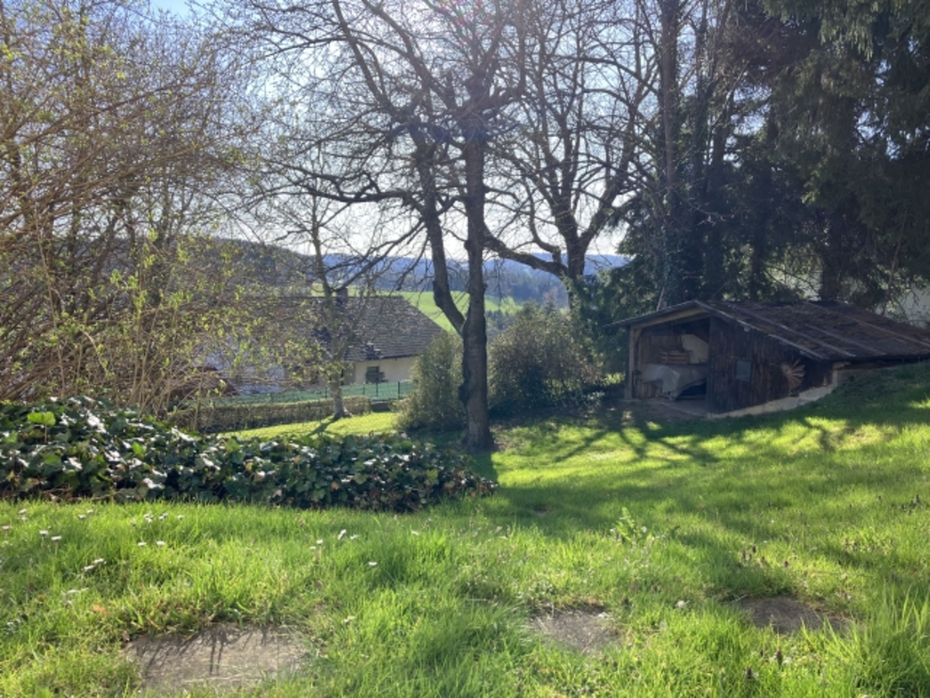 Garten im Sommer