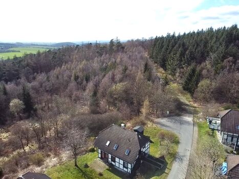 Blick vom Balkon auf den Waldzugang