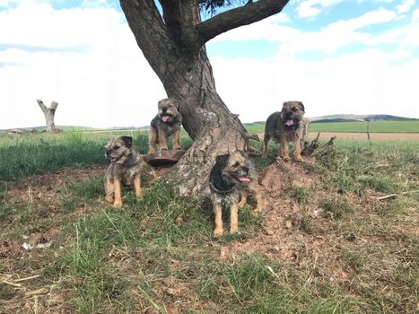 Könnte auch in Afrika sein