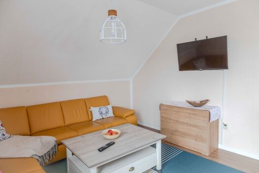 Couch, Couchtisch, Fernseher und Pelletbos