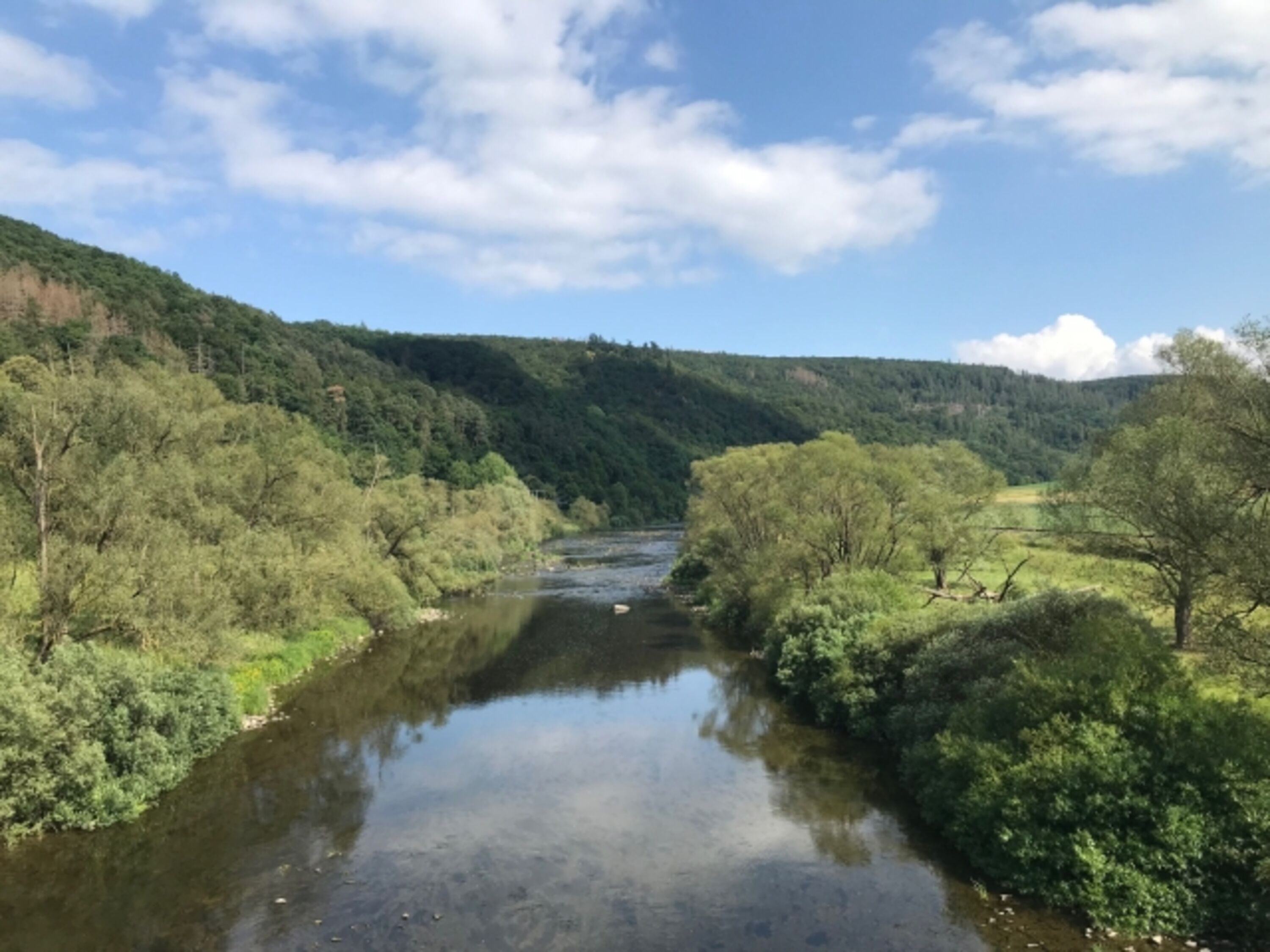 Ederblick