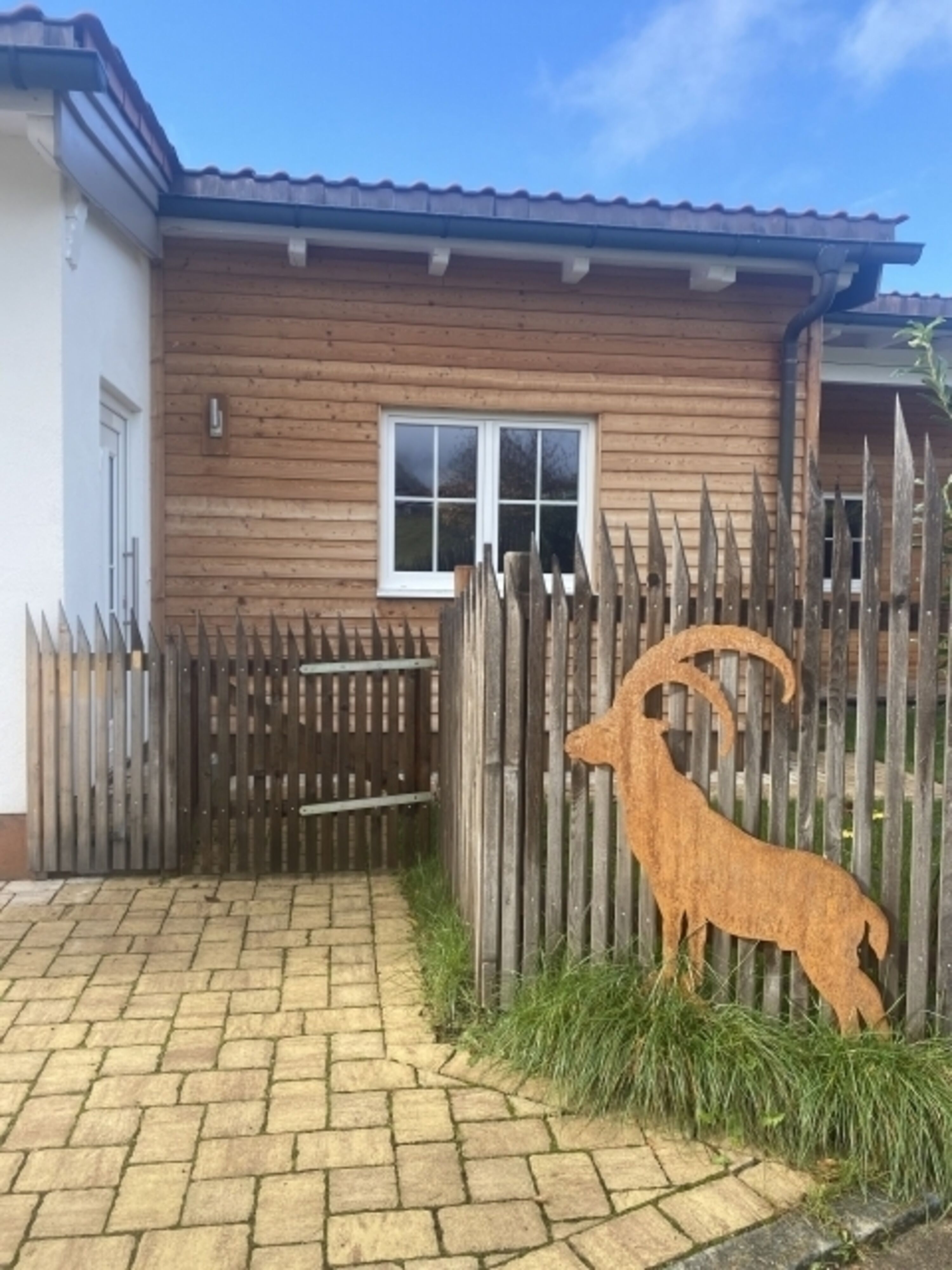 Bild 19