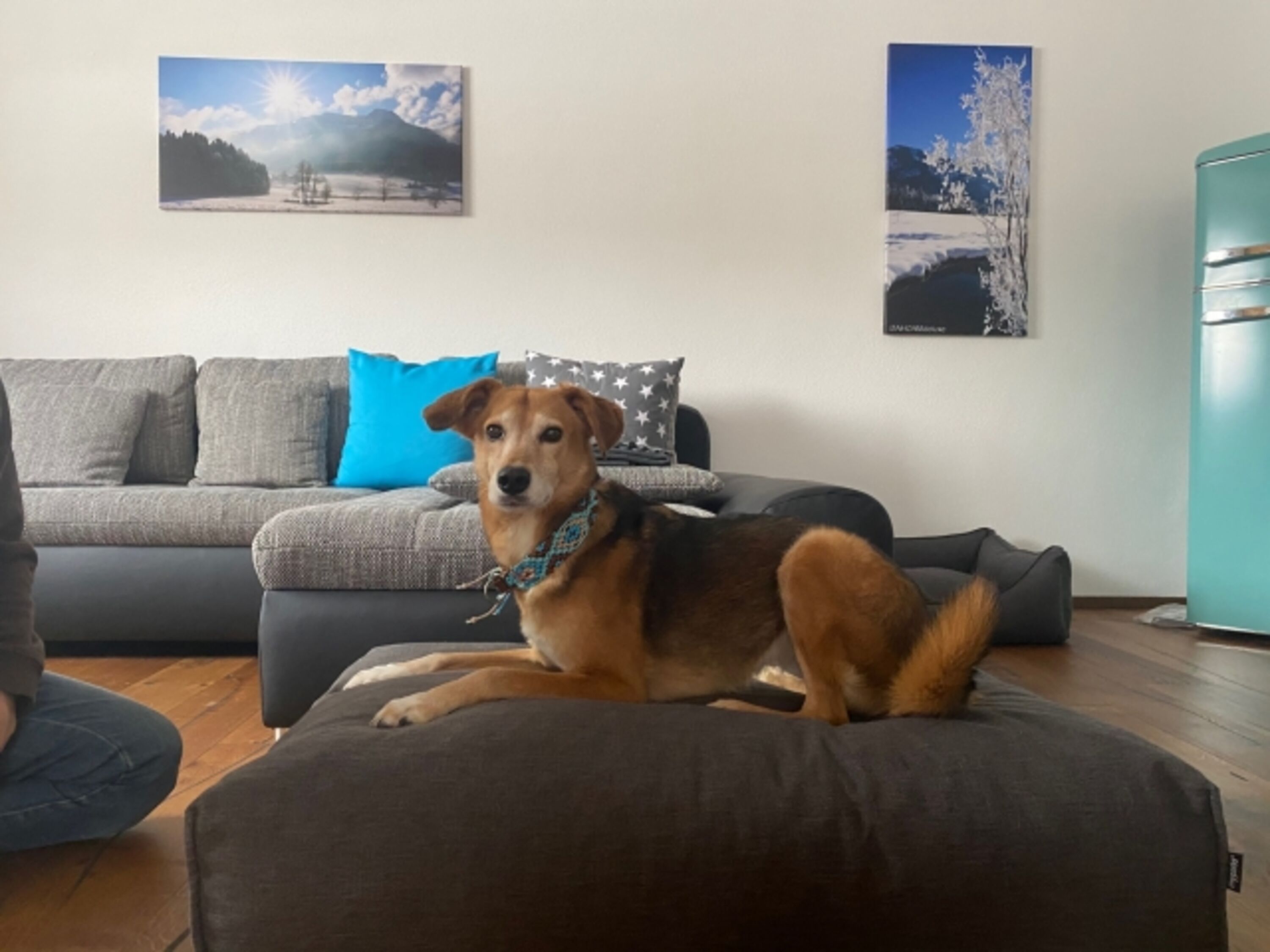 Bild 3