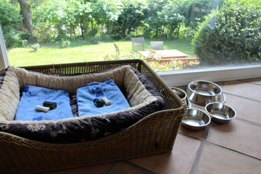 Bei uns sind Hunde willkommen!