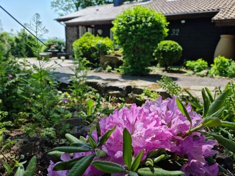Ferienhaus Vogelsbergblick Einfahrt zum Parkplatz