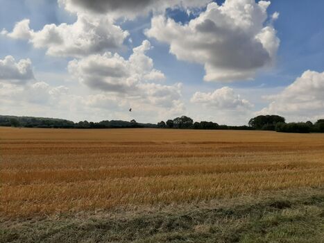 Gammelbymoor im Sommer