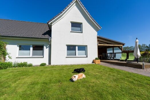 Hunde können sich im Garten frei bewegen