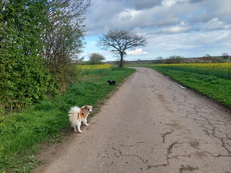 Direkt vom Haus aus loslaufen...